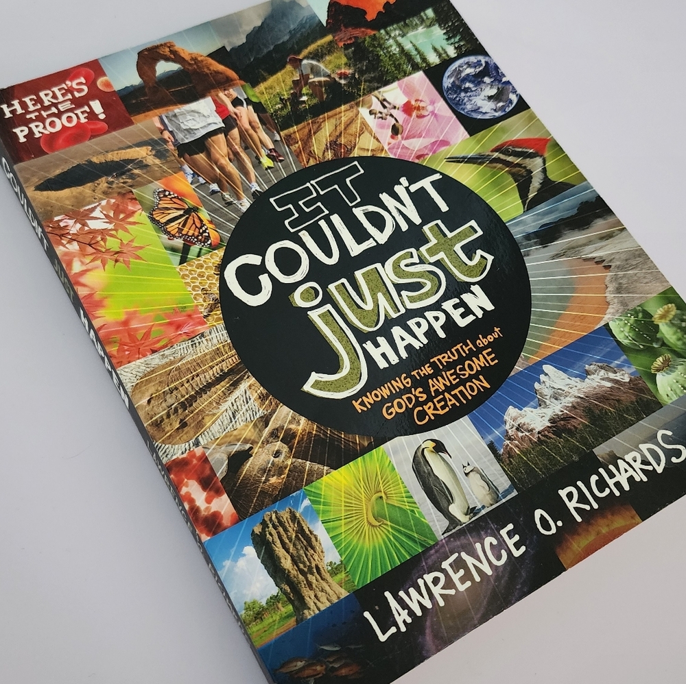 It Couldn't Just Happen by Lawrence O. Richards - Colorful Illustrated Paperback